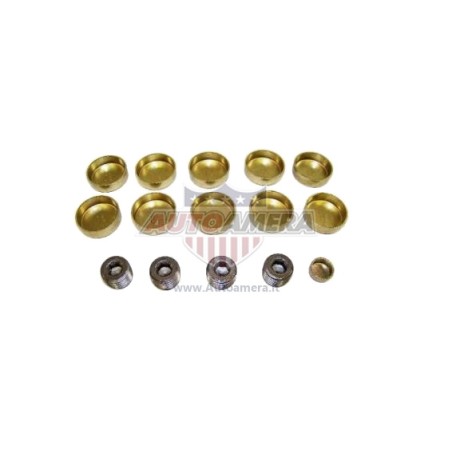 ENGINE EXPANSION PLUG SET (FREEZE PLUG SET)