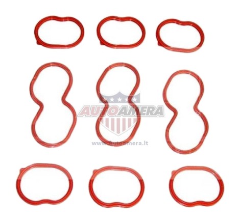 MANIFOLD GASKET SET - INTAKE