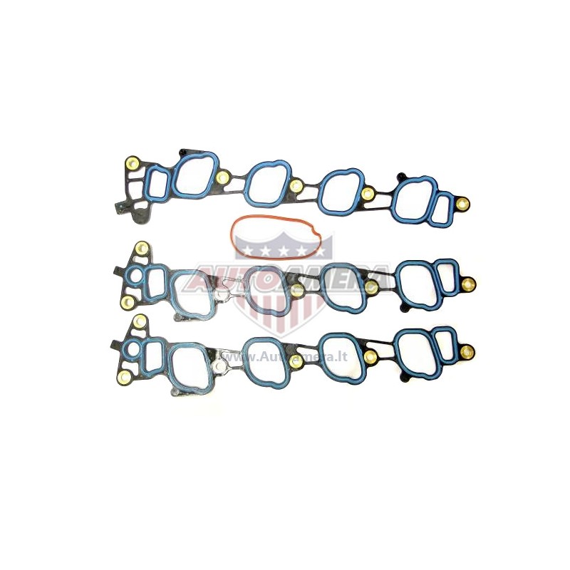 MANIFOLD GASKET SET - INTAKE