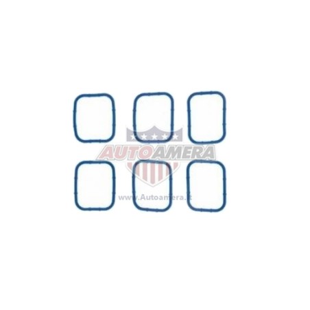 MANIFOLD GASKET SET - INTAKE