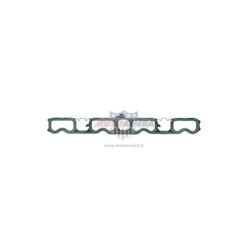 MANIFOLD GASKET - INTAKE