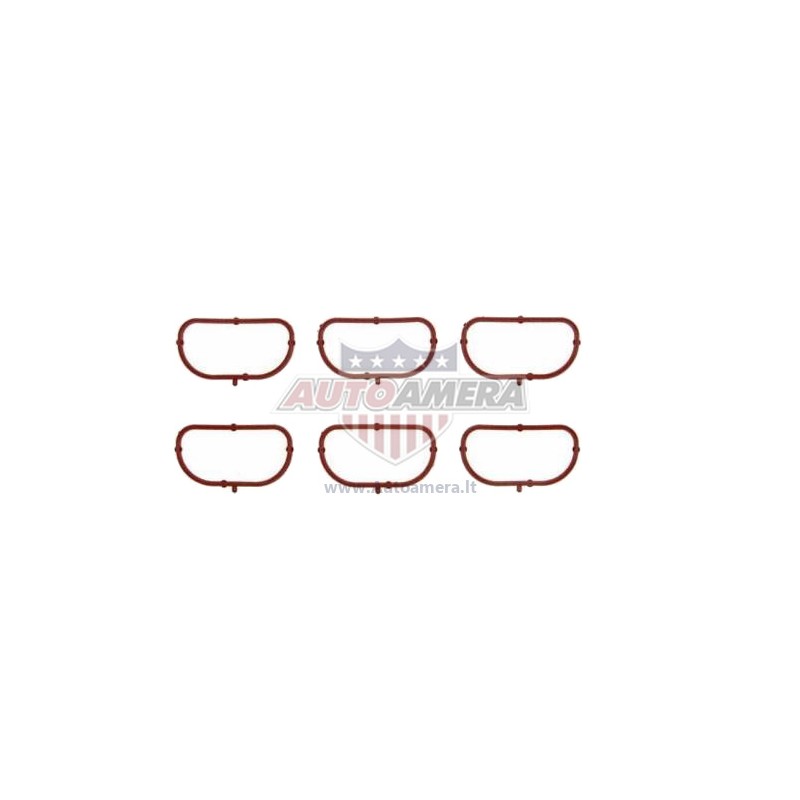 MANIFOLD GASKET SET - EXHAUST
