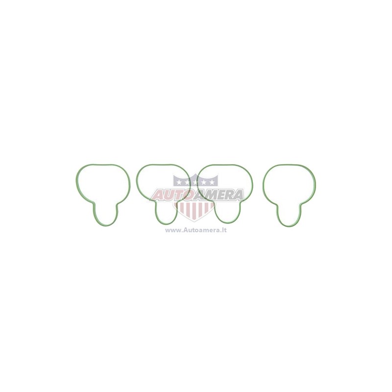 MANIFOLD GASKET SET - INTAKE