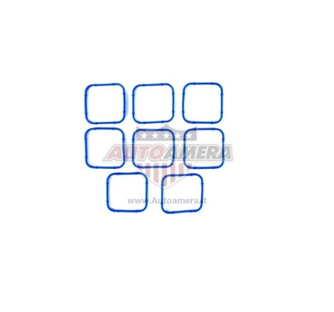 MANIFOLD GASKET SET - INTAKE