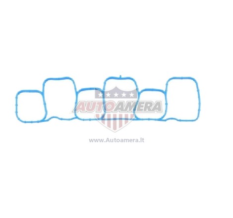 MANIFOLD GASKET - INTAKE
