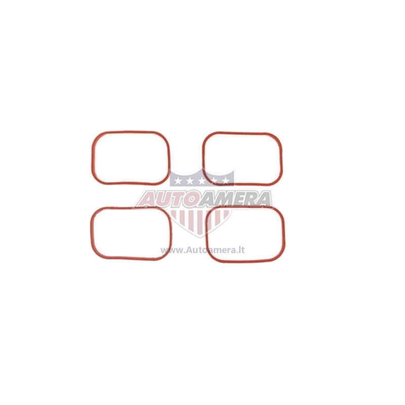 MANIFOLD GASKET SET - INTAKE