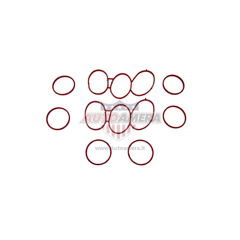 MANIFOLD GASKET SET - INTAKE