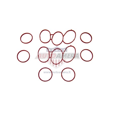 MANIFOLD GASKET SET - INTAKE