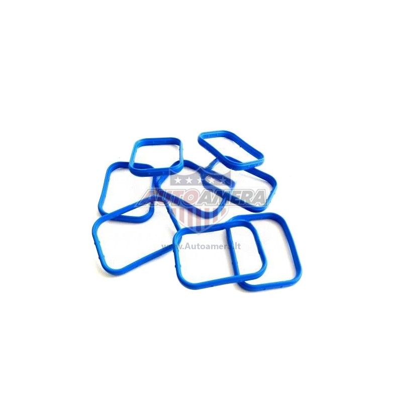 MANIFOLD GASKET SET - INTAKE