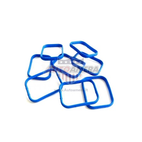 MANIFOLD GASKET SET - INTAKE