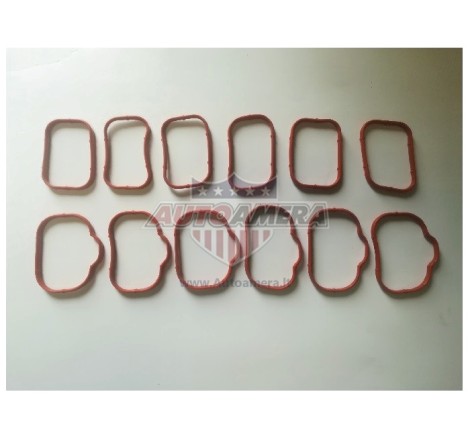 MANIFOLD GASKET SET - INTAKE