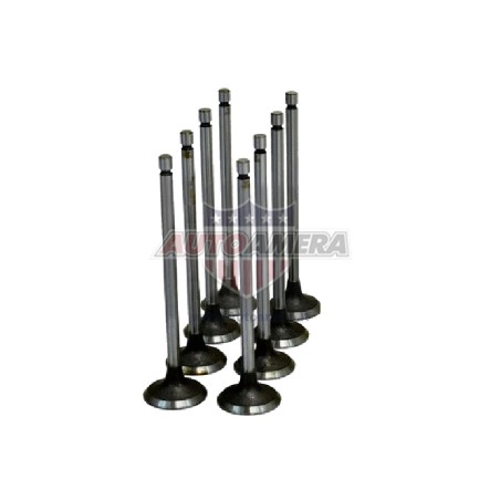 EXHAUST VALVE
